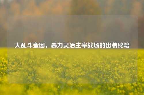 大乱斗奎因，暴力灵活主宰战场的出装秘籍