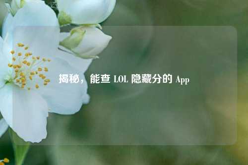 揭秘，能查 LOL 隐藏分的 App