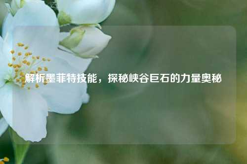 解析墨菲特技能，探秘峡谷巨石的力量奥秘