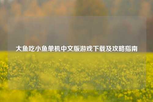 大鱼吃小鱼单机中文版游戏下载及攻略指南