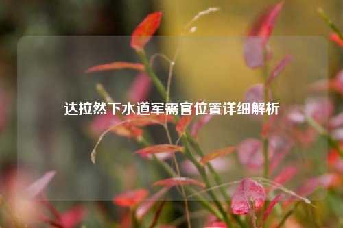 达拉然下水道军需官位置详细解析
