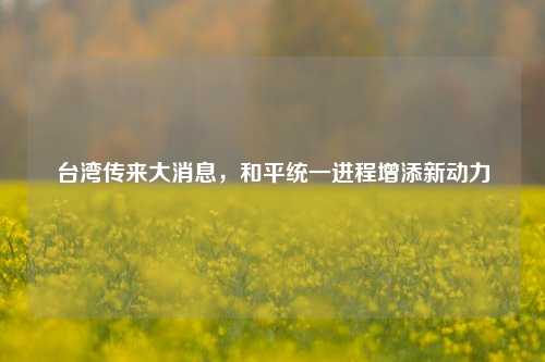 台湾传来大消息,和平统一进程增添新动力