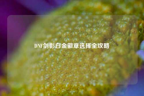 DNF剑影白金徽章选择全攻略